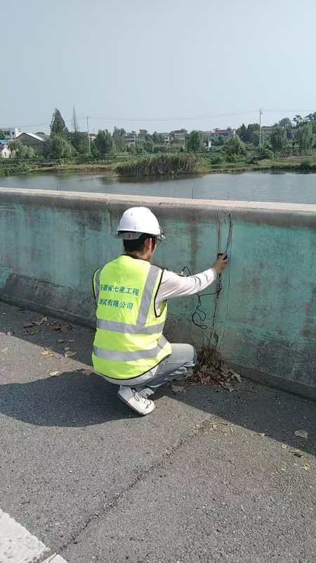 市本級(jí)橋梁調(diào)查檢測(cè)